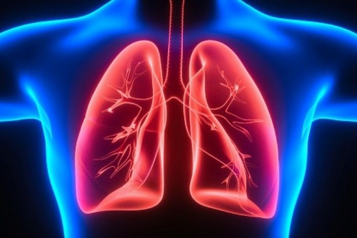 Five Foods That Are Said To Be Good For The Lungs
