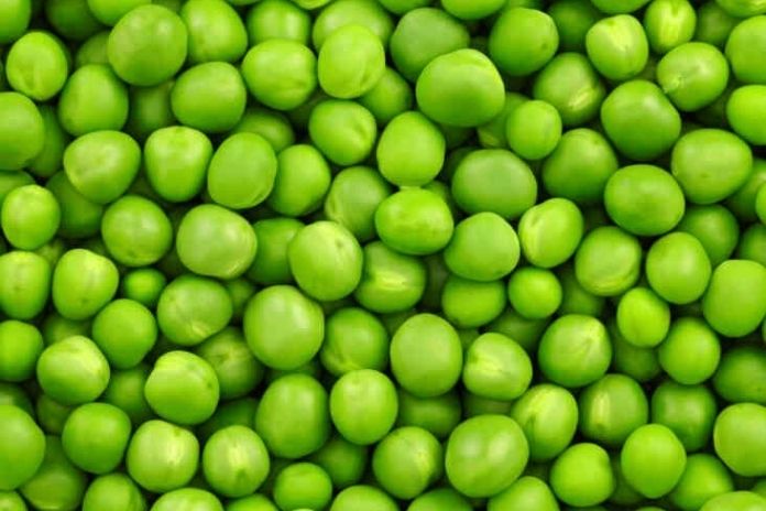 Peas 5 Amazing Benefits You Should Know