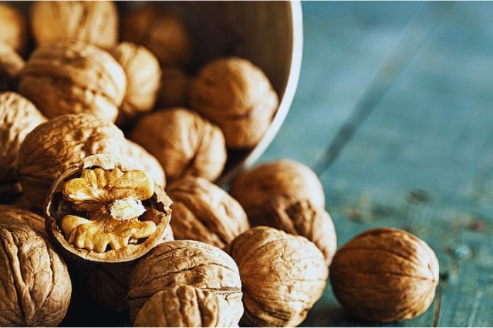 Walnuts Properties, Benefits, & Recipes To Prepare