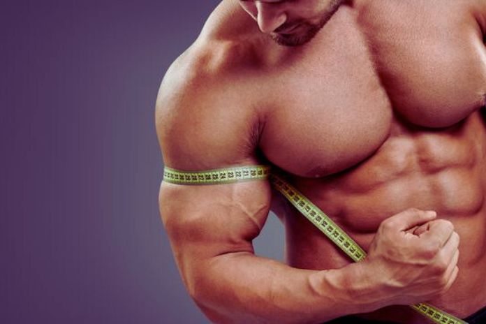 9 Myths About Gaining Muscle Mass